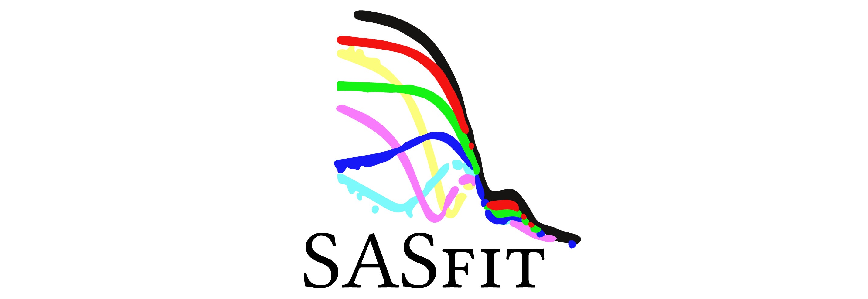SASfit 2